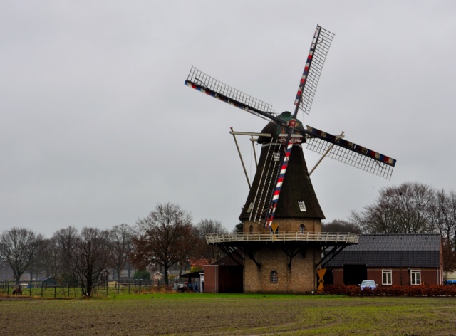 DSC_0574-004.JPG