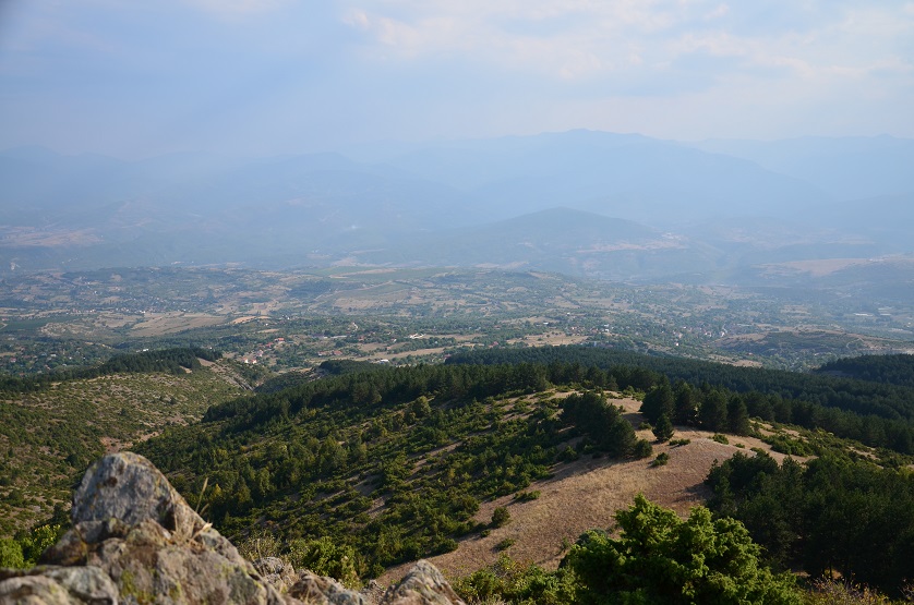 DSC_0863.JPG