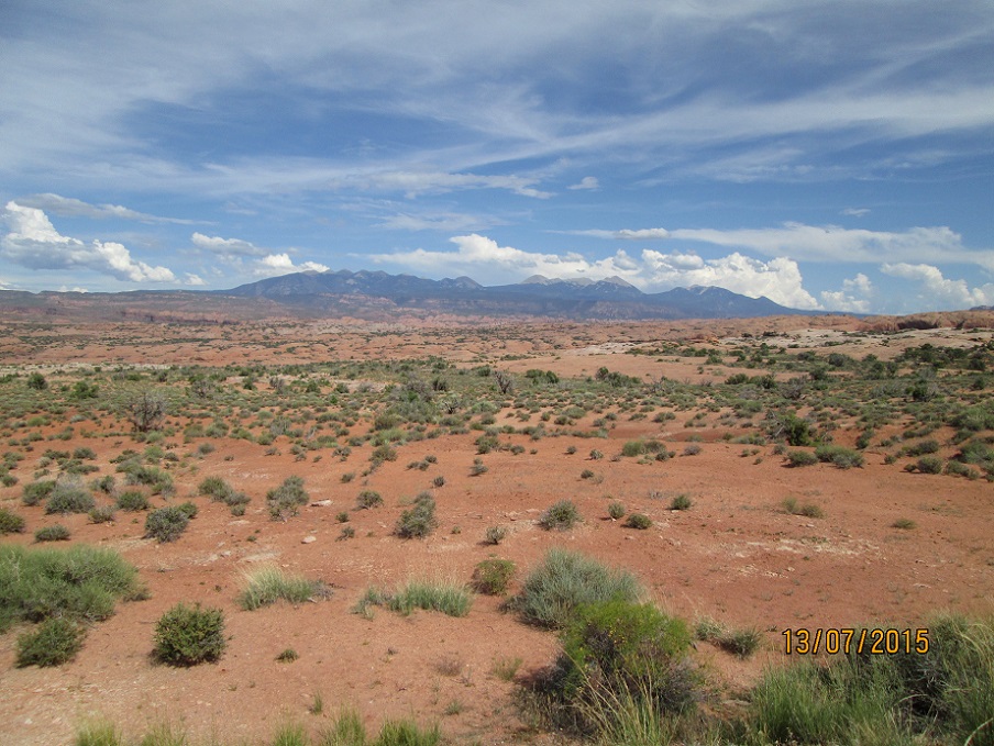 IMG_4987.jpg