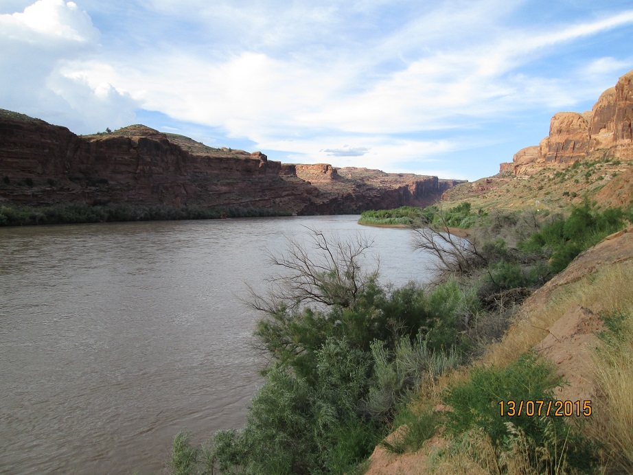 IMG_5017.jpg