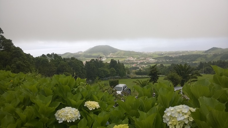 WP_20150624_046.jpg