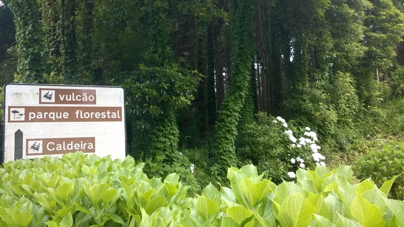 WP_20150624_030.jpg