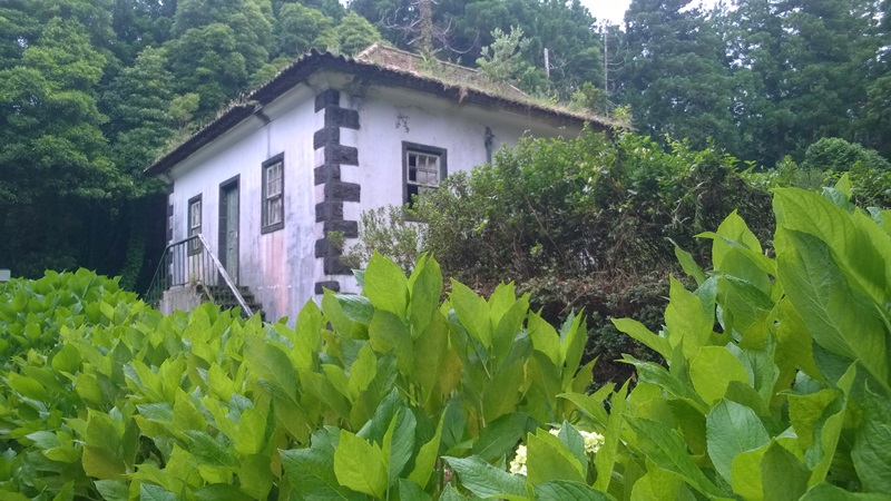 WP_20150624_031.jpg