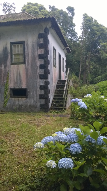 WP_20150624_044.jpg