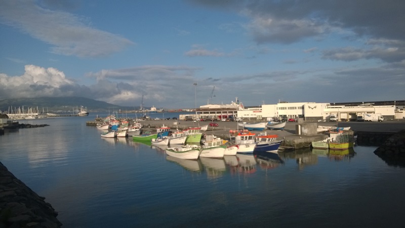 WP_20150630_025.jpg