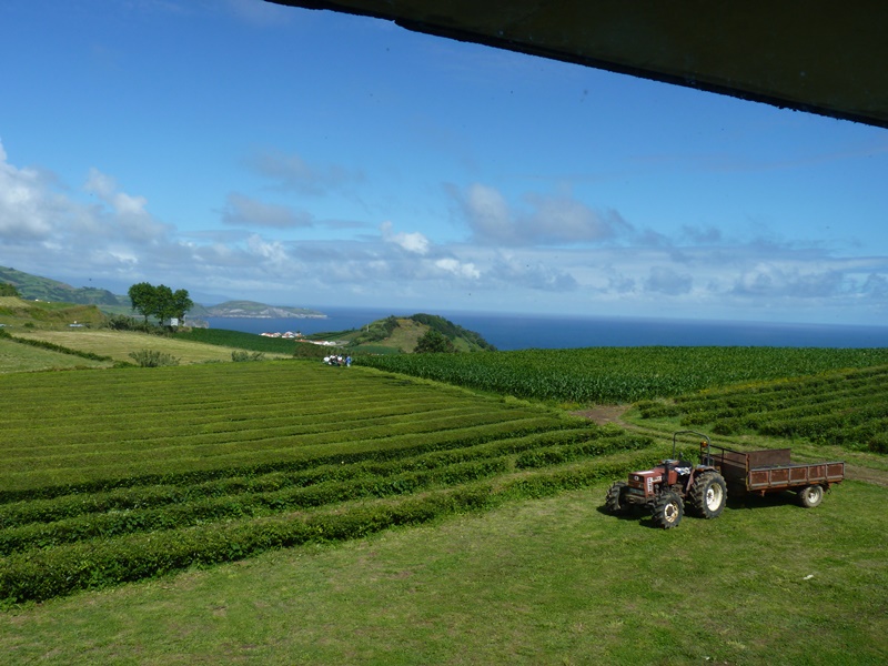 P1180930.JPG