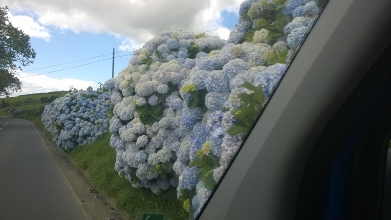 WP_20150703_033.jpg
