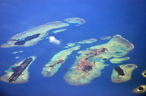 DSC_0328N1.jpg