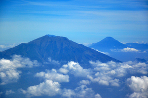 DSC_9698N1.jpg