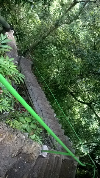 WP_20150608_007.jpg