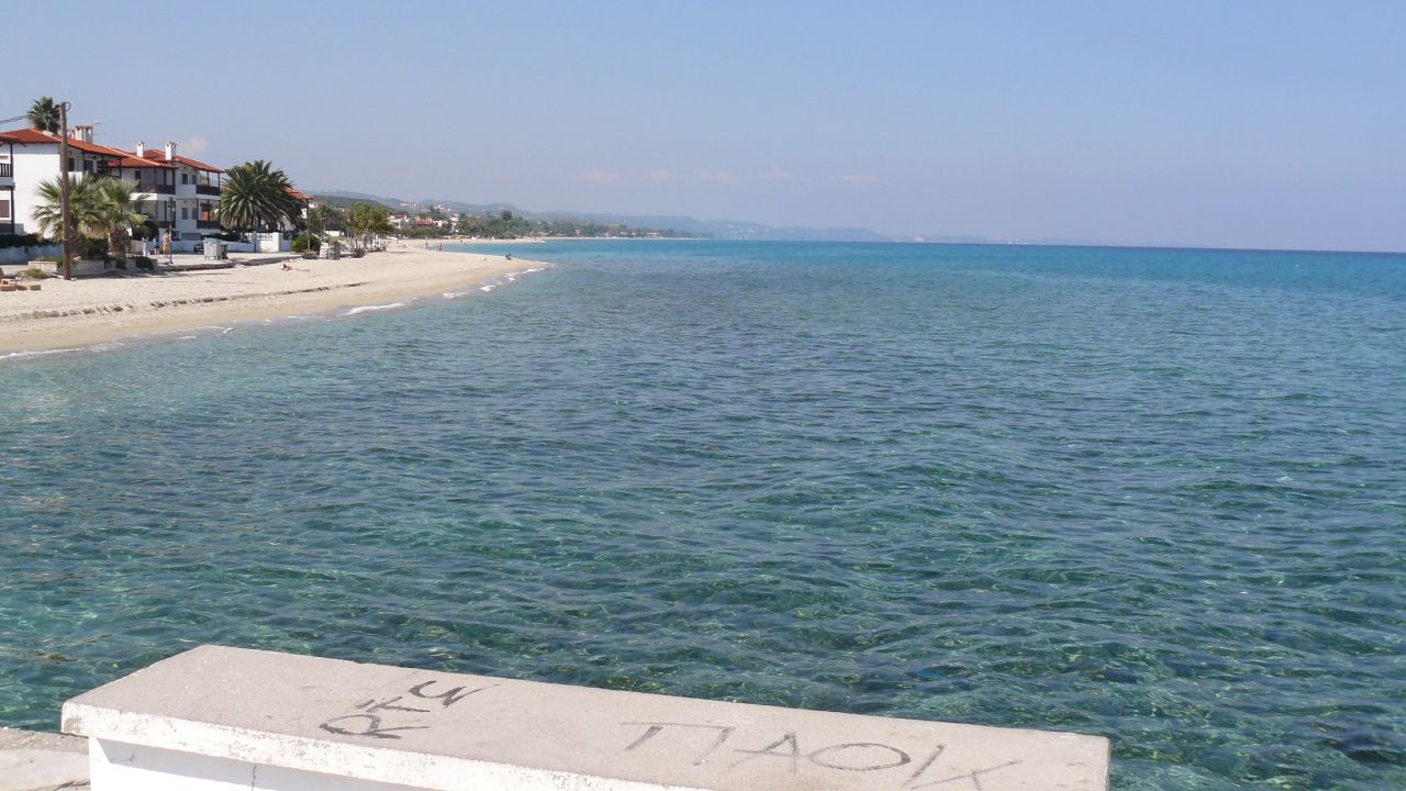 P1590686.jpg