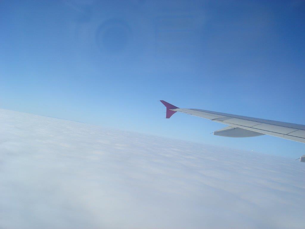 DSC02444small.jpg