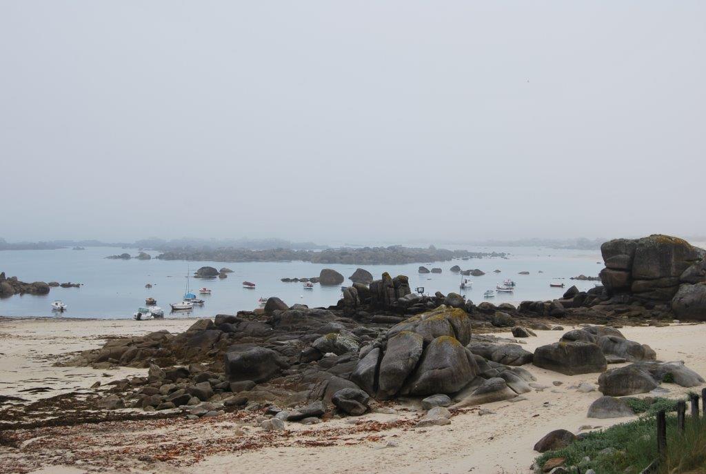 DSC_0181.jpg