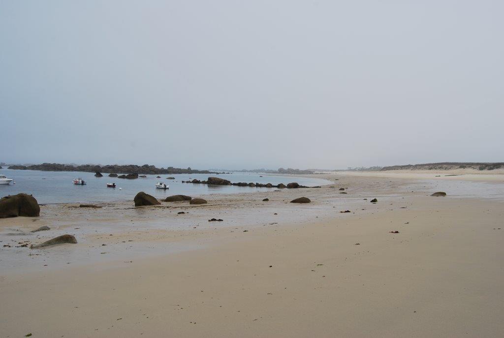 DSC_0185.jpg