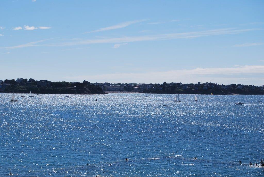 DSC_1441.jpg