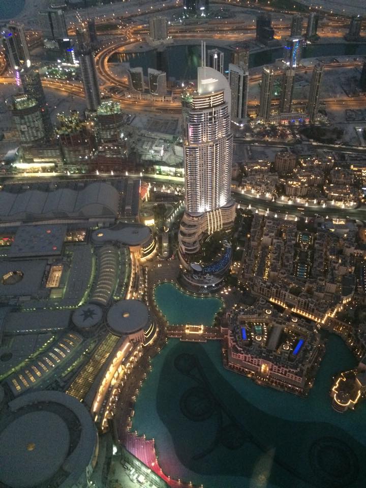 11780532_1204862796201396_881236239_n.jpg