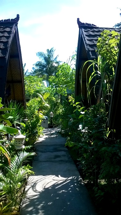 WP_20150611_001.jpg