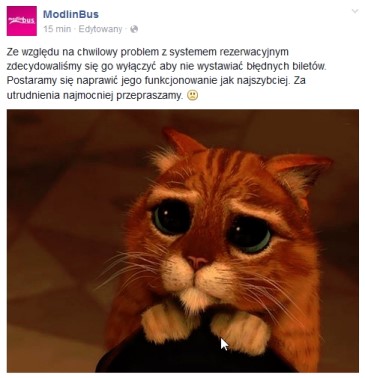 modlinbus_.jpg