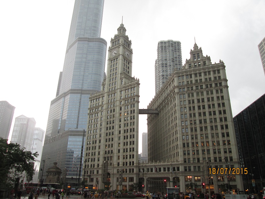 IMG_5546.jpg