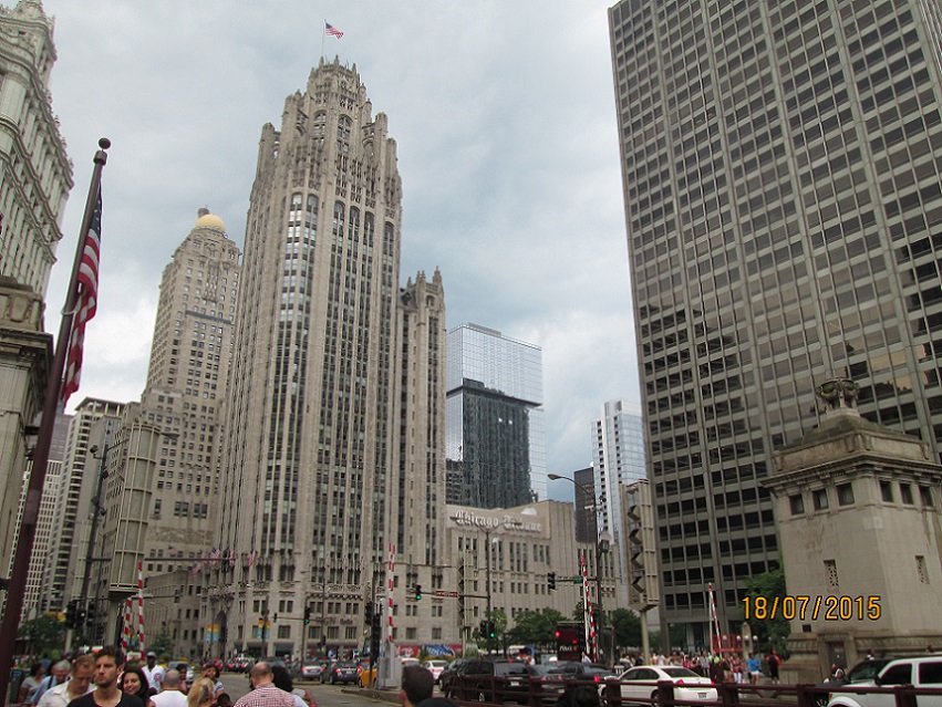 IMG_5555.jpg