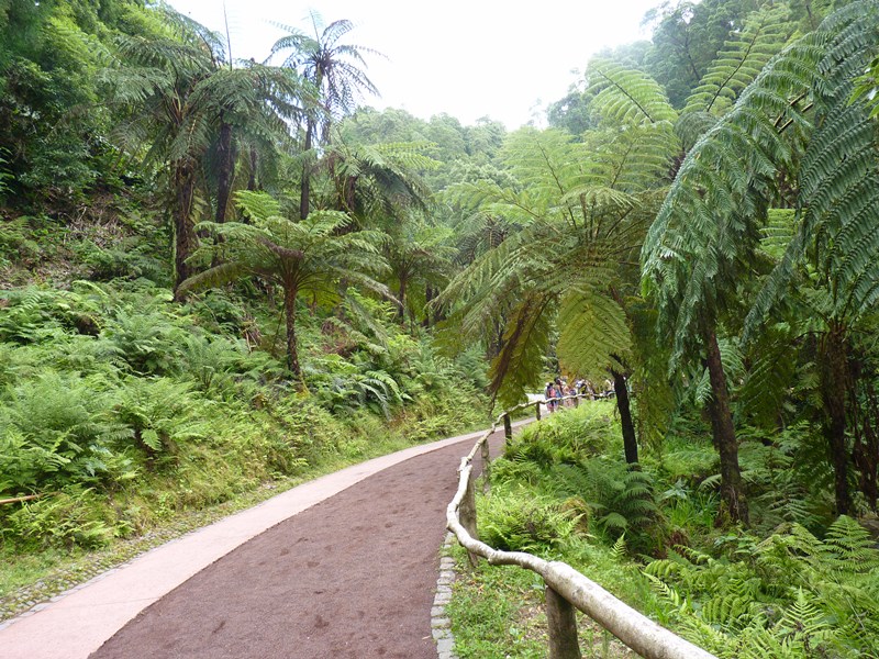P1180843.JPG