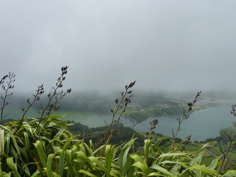 P1180604.JPG