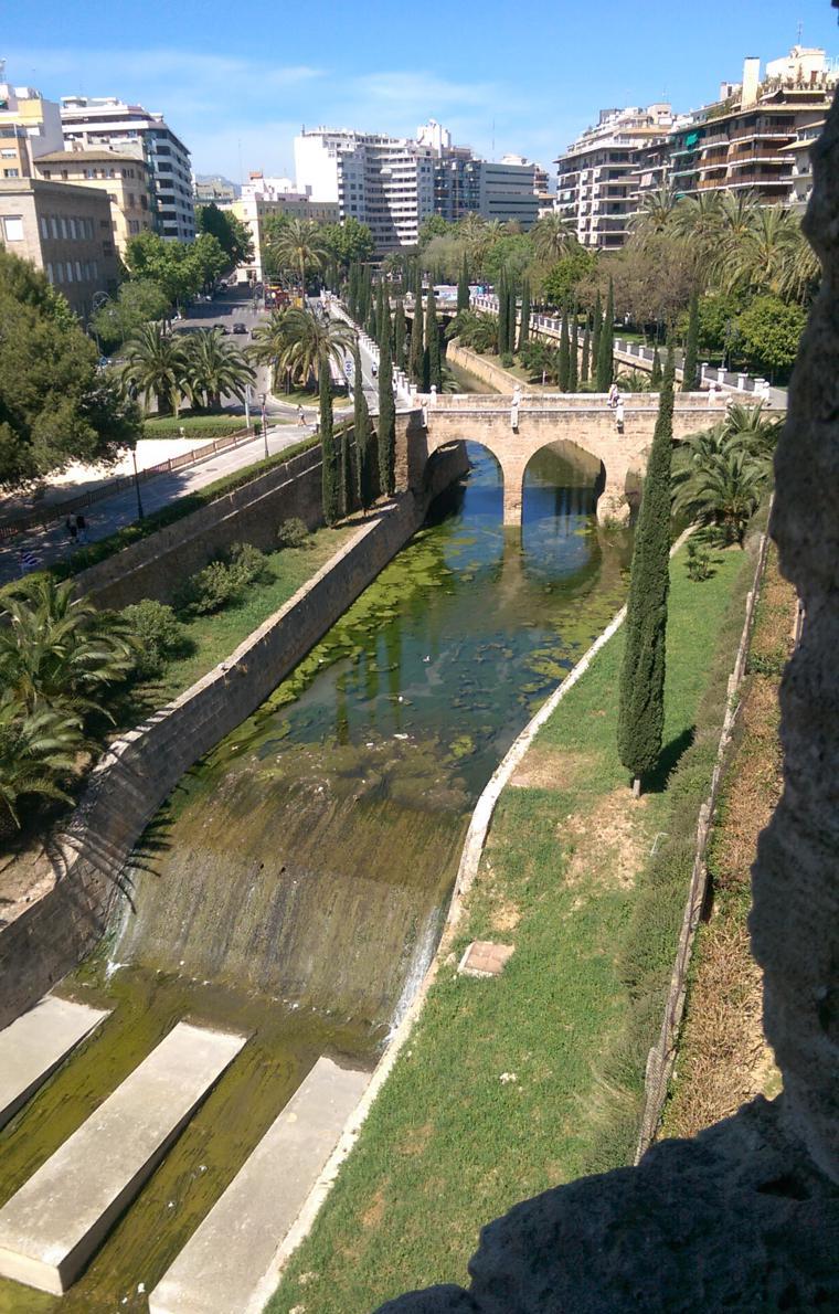 IMAG2255_760x1344.jpg