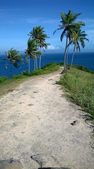 WP_20150614_003.jpg