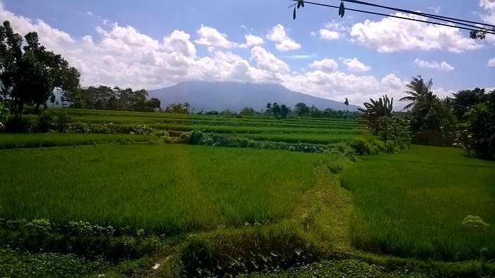 WP_20150614_014.jpg