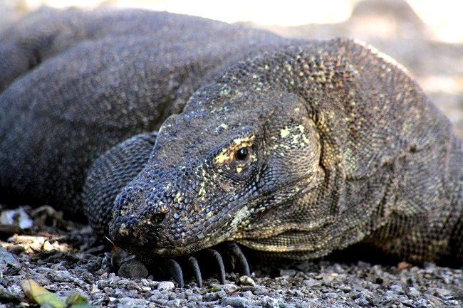 IMG_1644.JPG