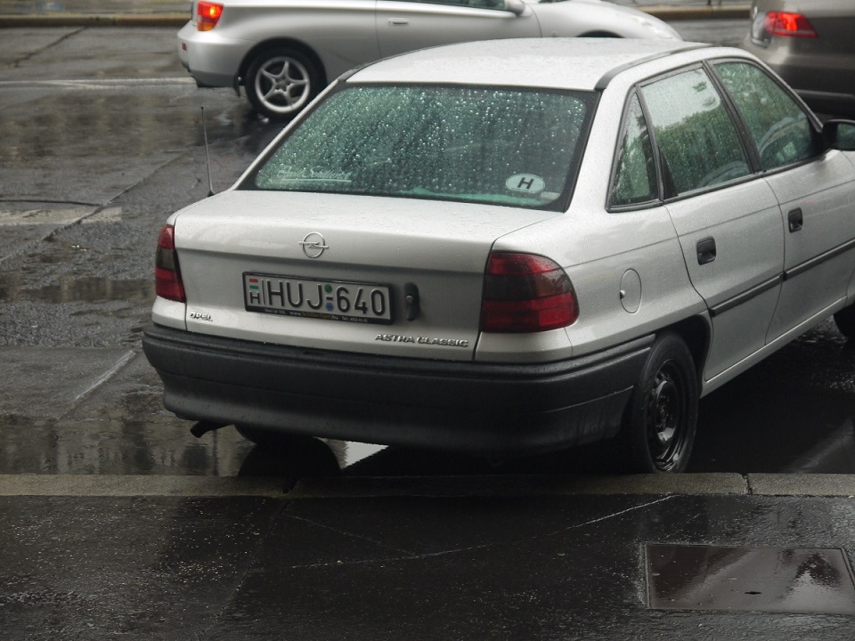 P1100013.jpg