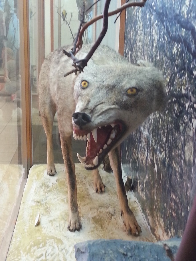 20151004_131655.jpg