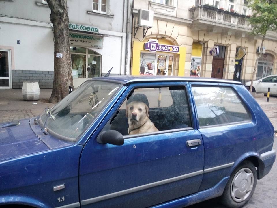 11204968_10152821267612038_2990716242914678103_n.jpg