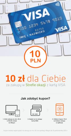 visa.jpg