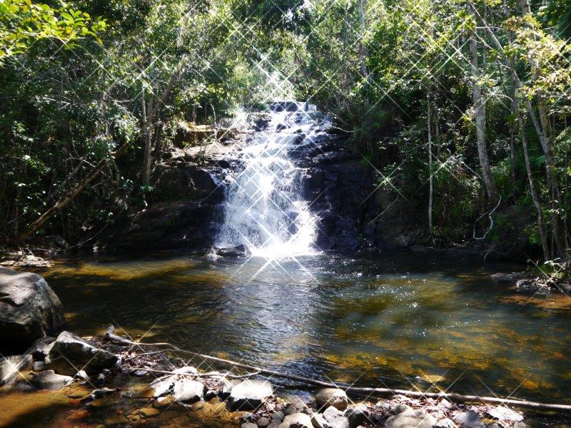 P1000444.jpg
