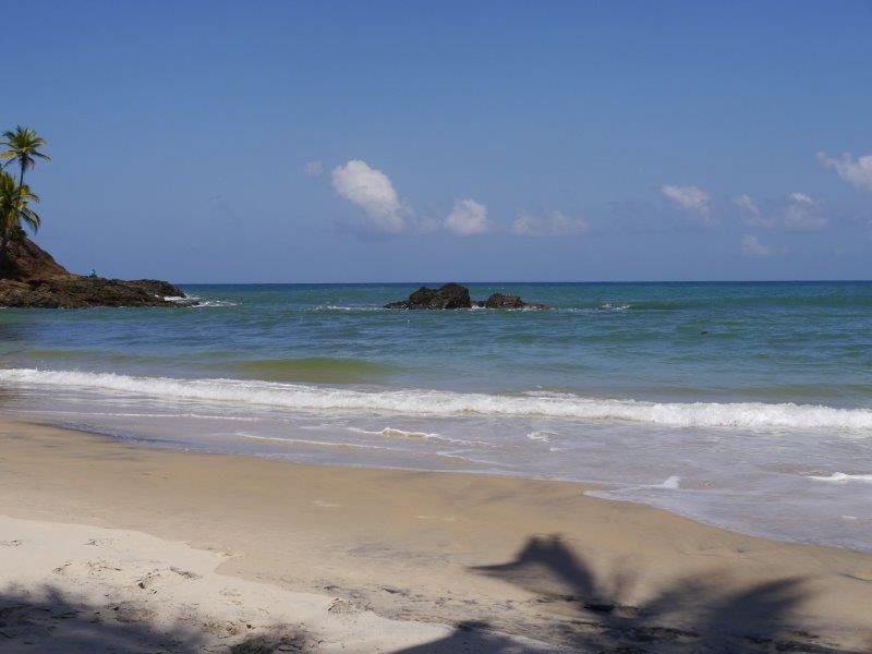 P1000395.jpg