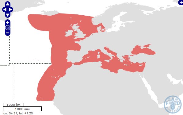 wystepowanie sardynki europejskiej.jpg
