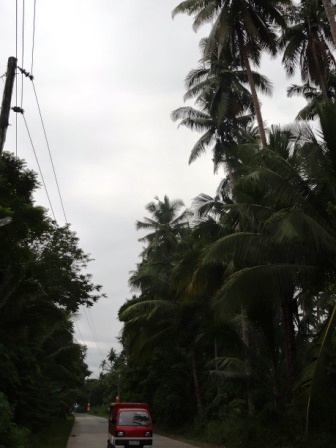 DSC03470.JPG