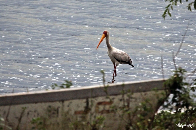 IMG_3291.JPG