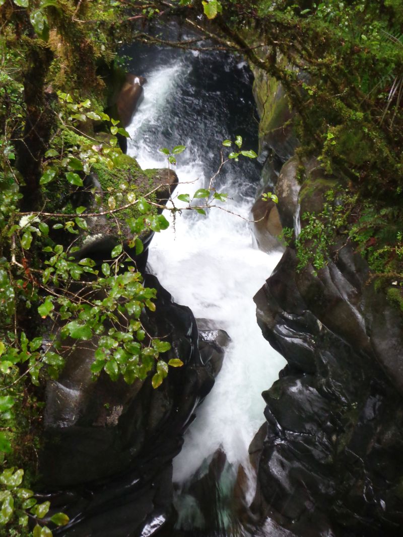 DSC06861.JPG