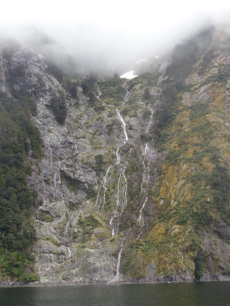 DSC06908.JPG