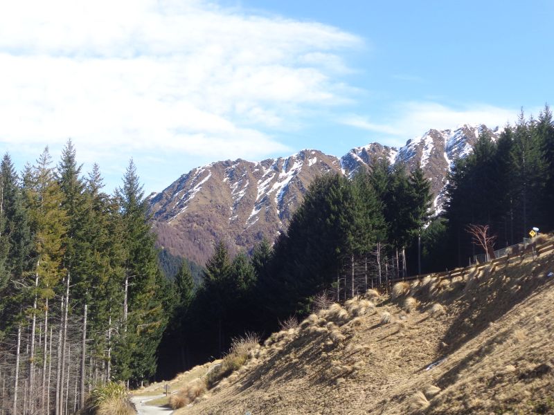 DSC07100.JPG