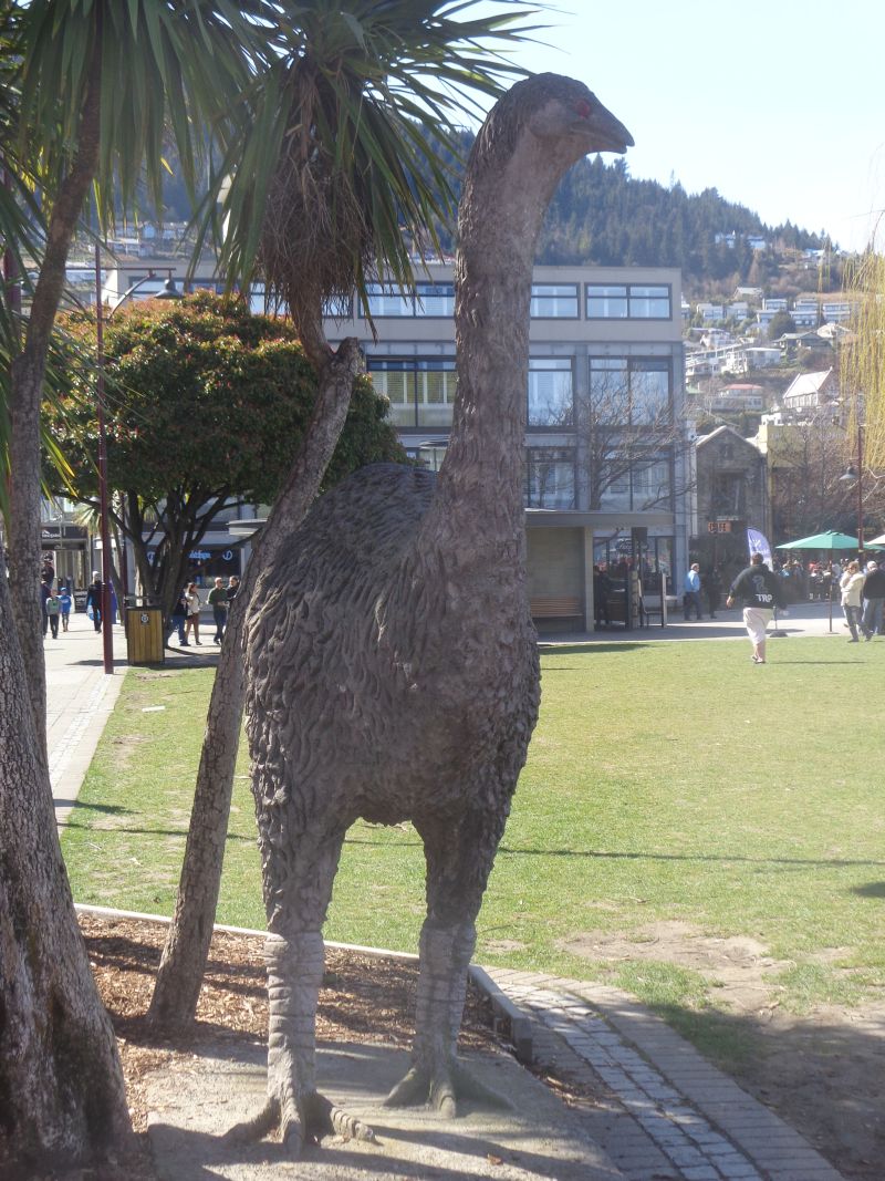 DSC07121.JPG