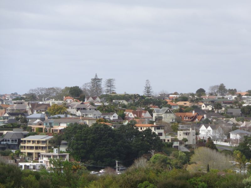 DSC07256.JPG