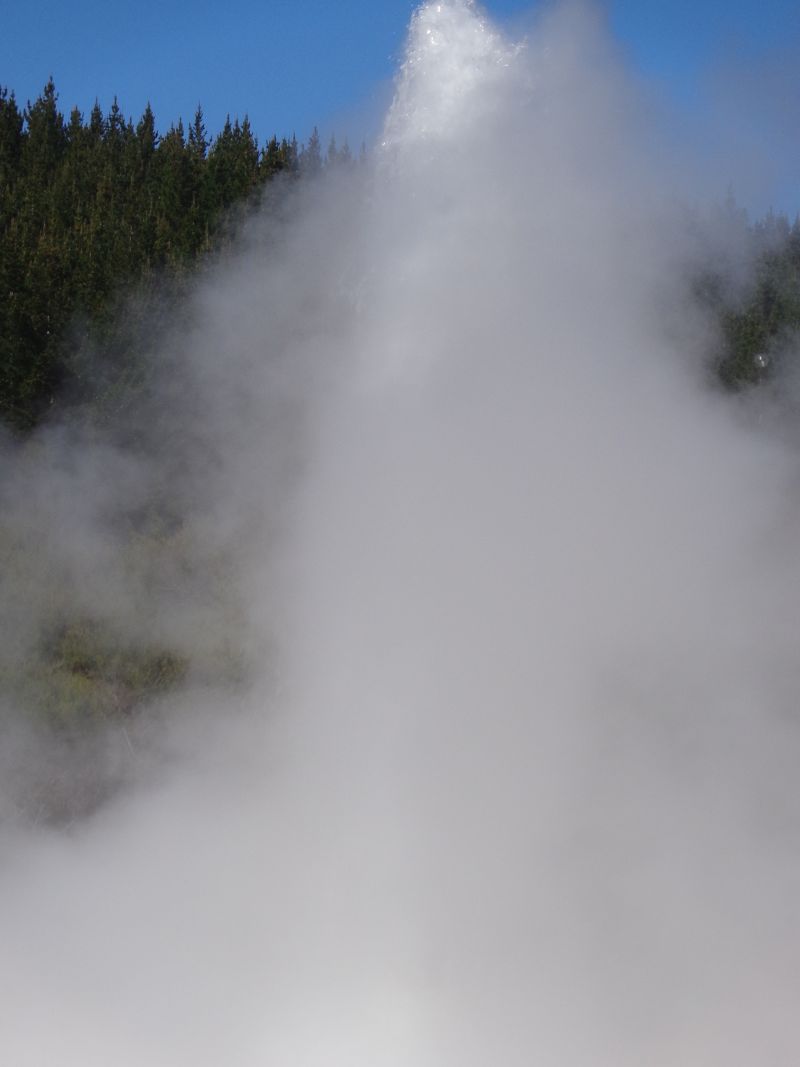 DSC07378.JPG