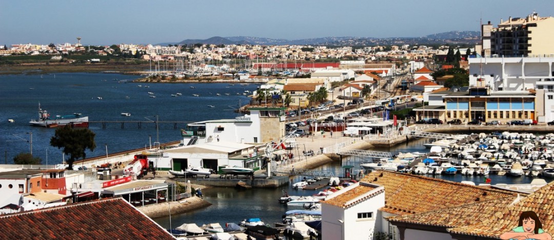 faro001-1080x469.jpg