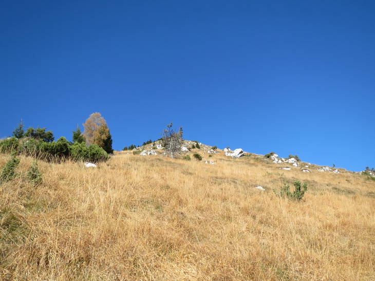 IMG_4667_resize.JPG