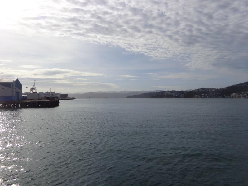 DSC07670.JPG