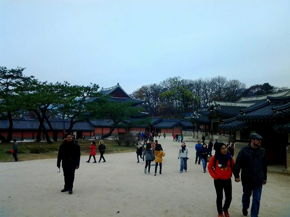 12305577_10208769119012327_1912937424_n.jpg