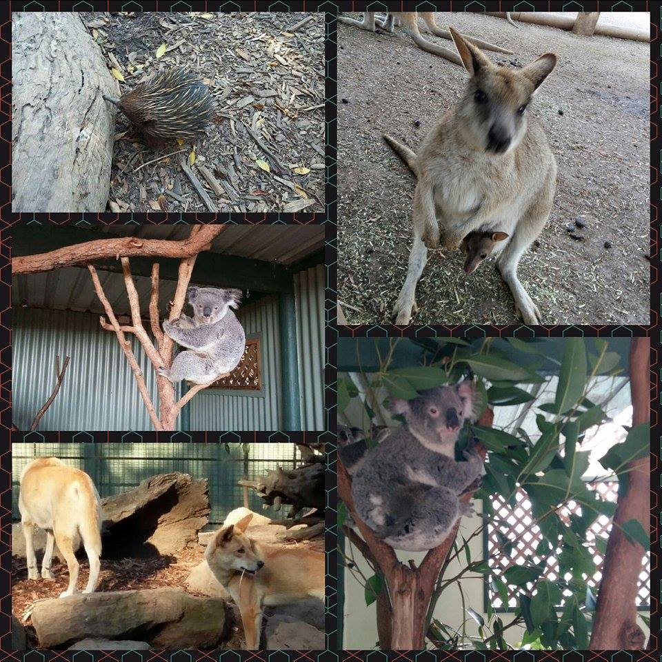 Australia_park.jpg